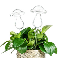 Glass Plant Self Watering Balls Flowers Water Feeder Mushroom Shape Watering Tool