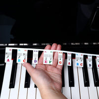 88 Keys Removable Silicone Piano Keyboard Note Labels Set Piano Practice Note Chart without Stickers-Colorful