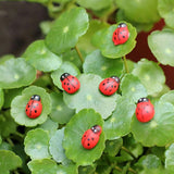 50Pcs DIY Dollhouse Miniatures Ladybug Statue Figurines Fairy Garden Bonsai Landscape Decoration