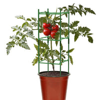 FancyGrab Indoor Plant Trellis Decorate Plant Stackable House Plant Trellis for Climbing Plants-Square Style