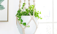 Set of 4Pcs Macrame Pot Plant Hanger Set