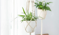 Set of 4Pcs Macrame Pot Plant Hanger Set