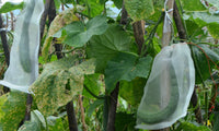 10Pcs Garden Protect Netting Bag