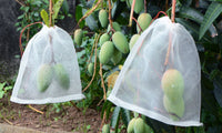 10Pcs Garden Protect Netting Bag