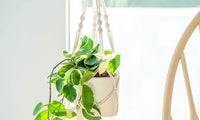 Set of 4Pcs Macrame Pot Plant Hanger Set