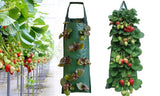 2Pack PE Hanging Strawberry Bag