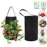 2 Pack of Felt Hanging Strawberry Planter Grow Bags