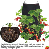 2 Pack of Felt Hanging Strawberry Planter Grow Bags