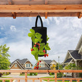 2 Pack of Felt Hanging Strawberry Planter Grow Bags