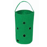 2 Pack of Felt Hanging Strawberry Planter Grow Bags